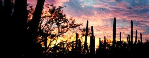 Arizona Sunset